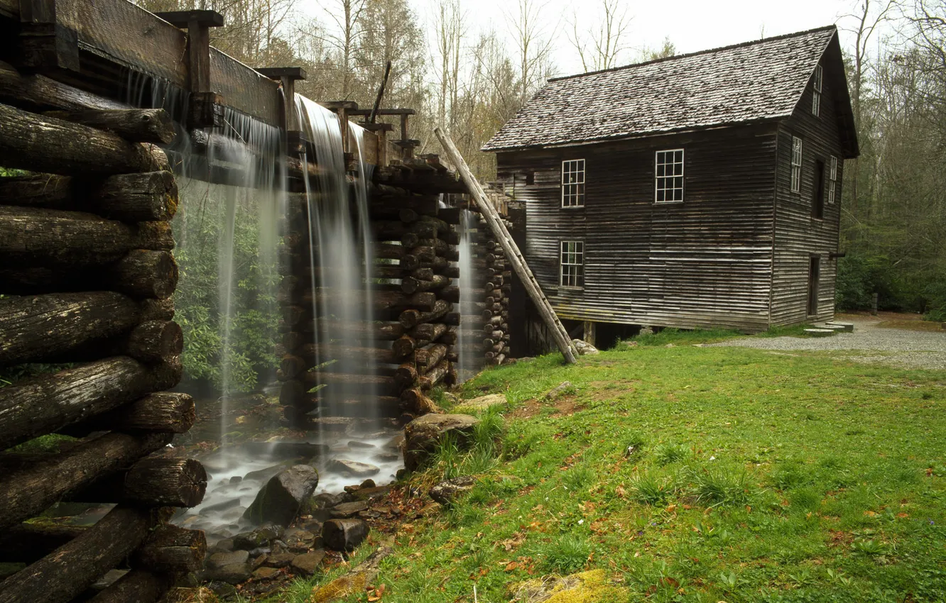 Photo wallpaper grass, water, home