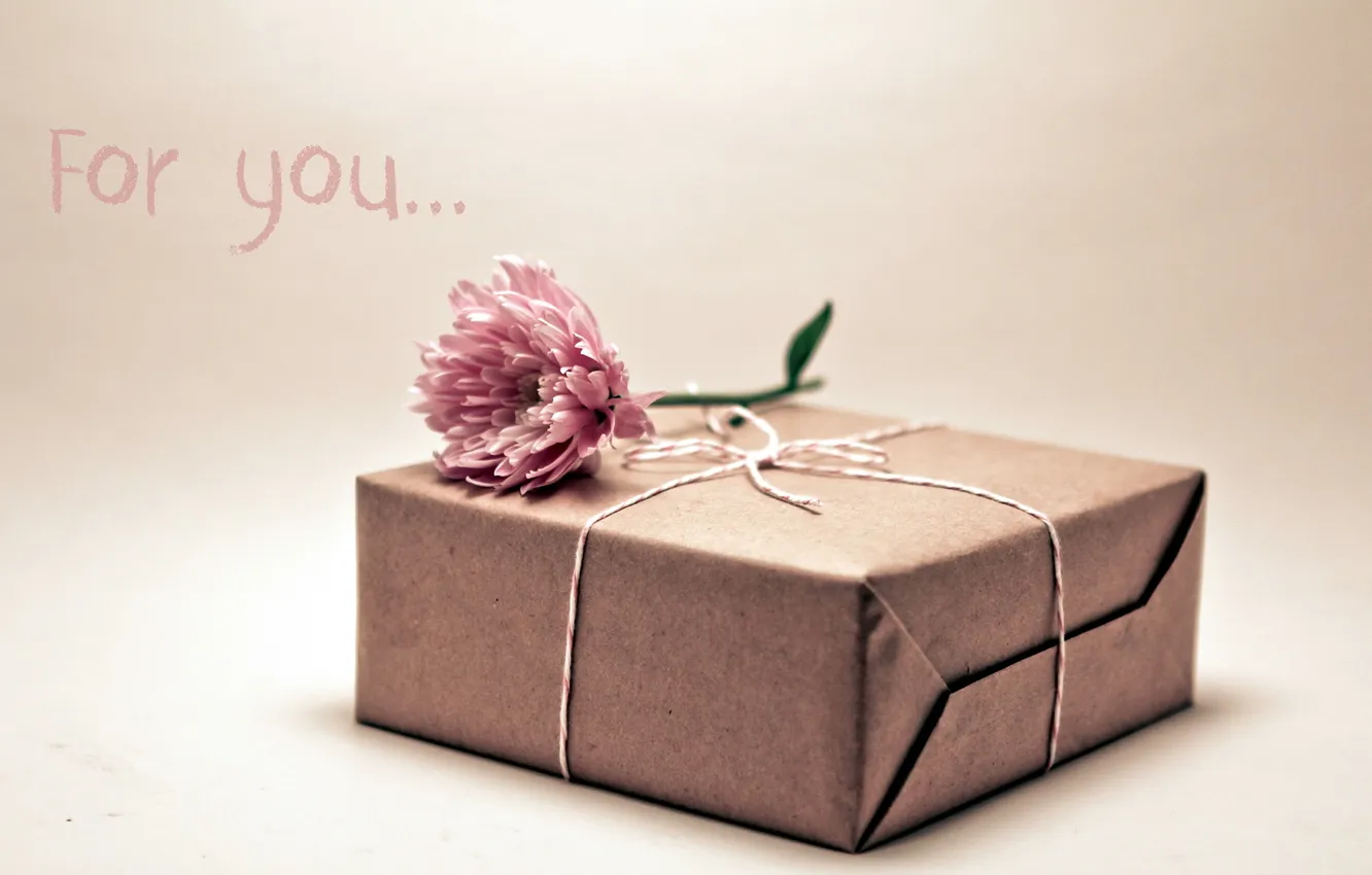 Photo wallpaper flower, macro, box, gift