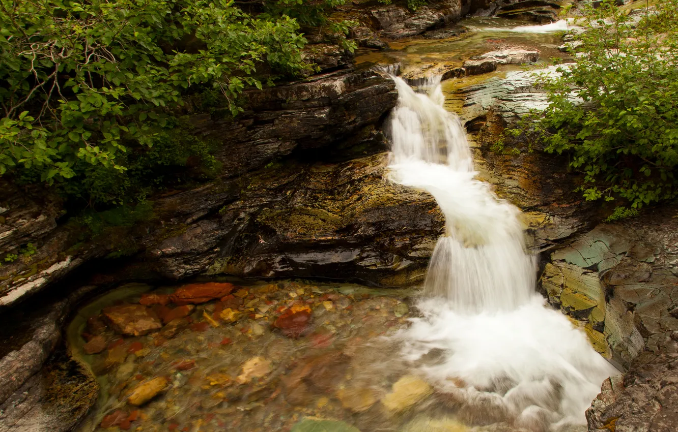 Photo wallpaper stream, stones, USA, cascade, the bushes, Glacier National Park