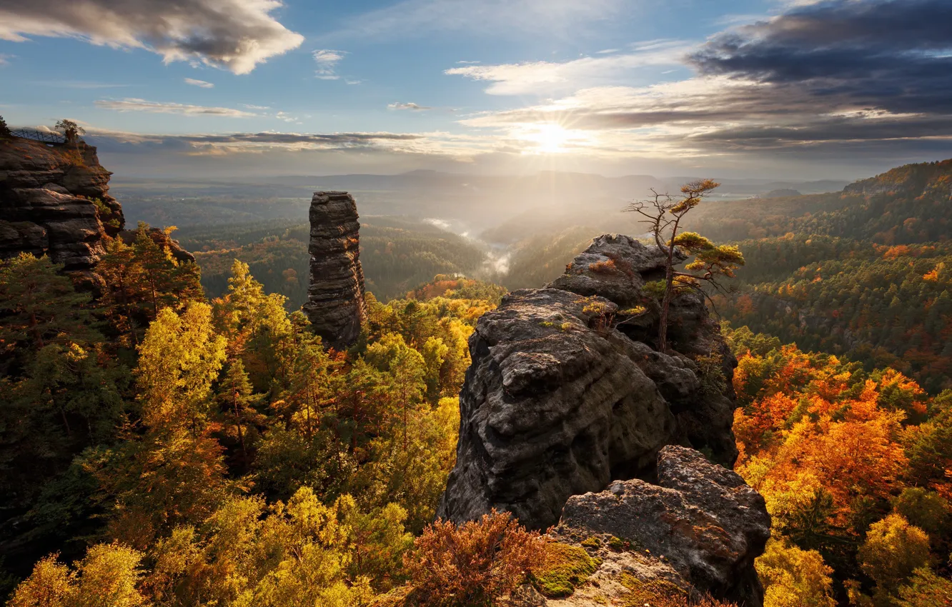 Photo wallpaper autumn, forest, the sun, light, trees, mountains, rocks, Germany