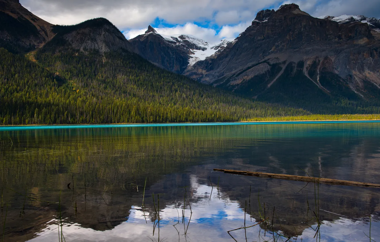 Photo wallpaper forest, mountains, lake, reflection, shore, tops, slope, log