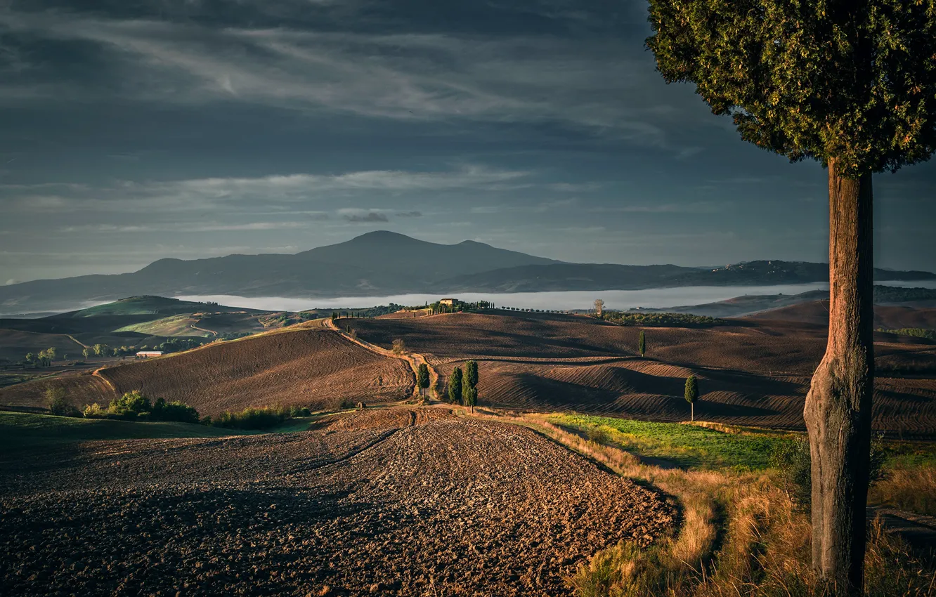 Photo wallpaper sea, field, trees, landscape, mountains, nature, hills, Italy