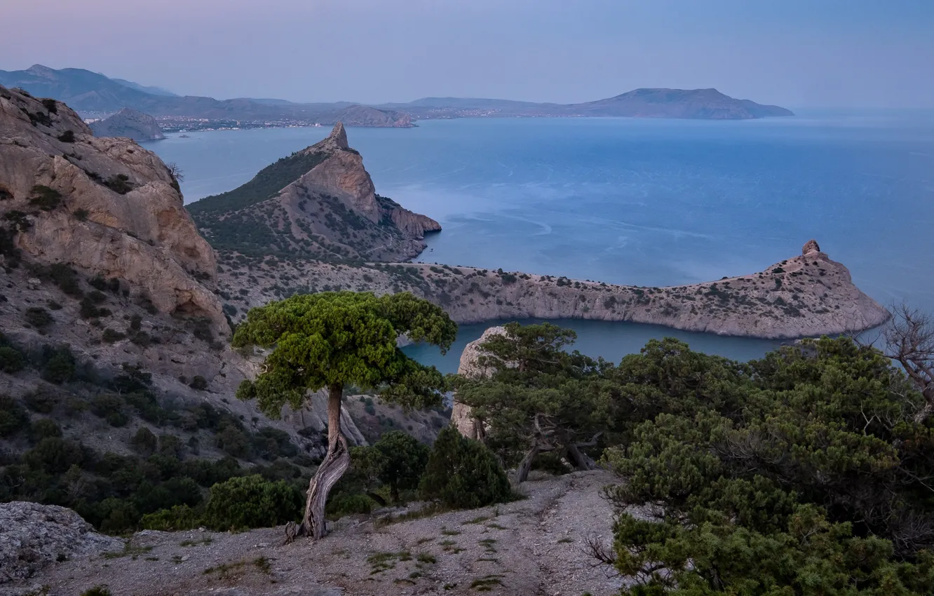 Photo wallpaper sea, landscape, nature, rocks, Bay, Crimea, pine, Cape