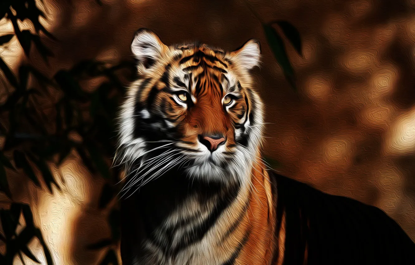 Photo wallpaper face, tiger, background, handsome