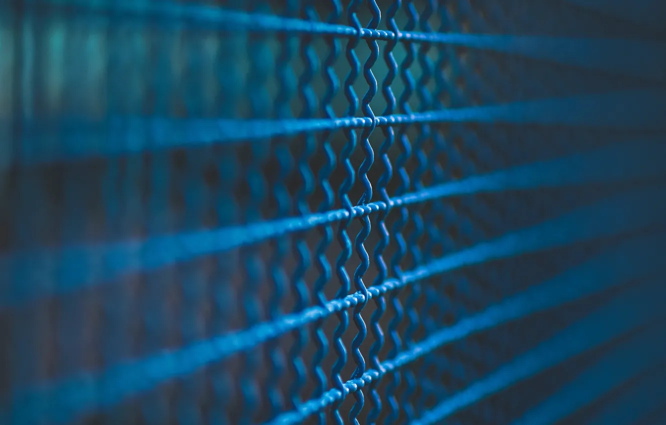 Photo wallpaper blue, mesh, structure, Marco