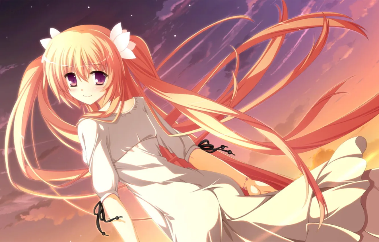 Photo wallpaper the sky, anime, girl. hair