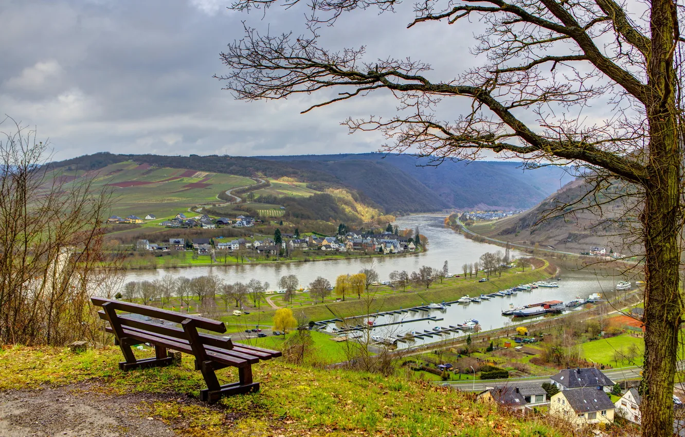 Photo wallpaper trees, bench, the city, Germany, channel, water, Senheim