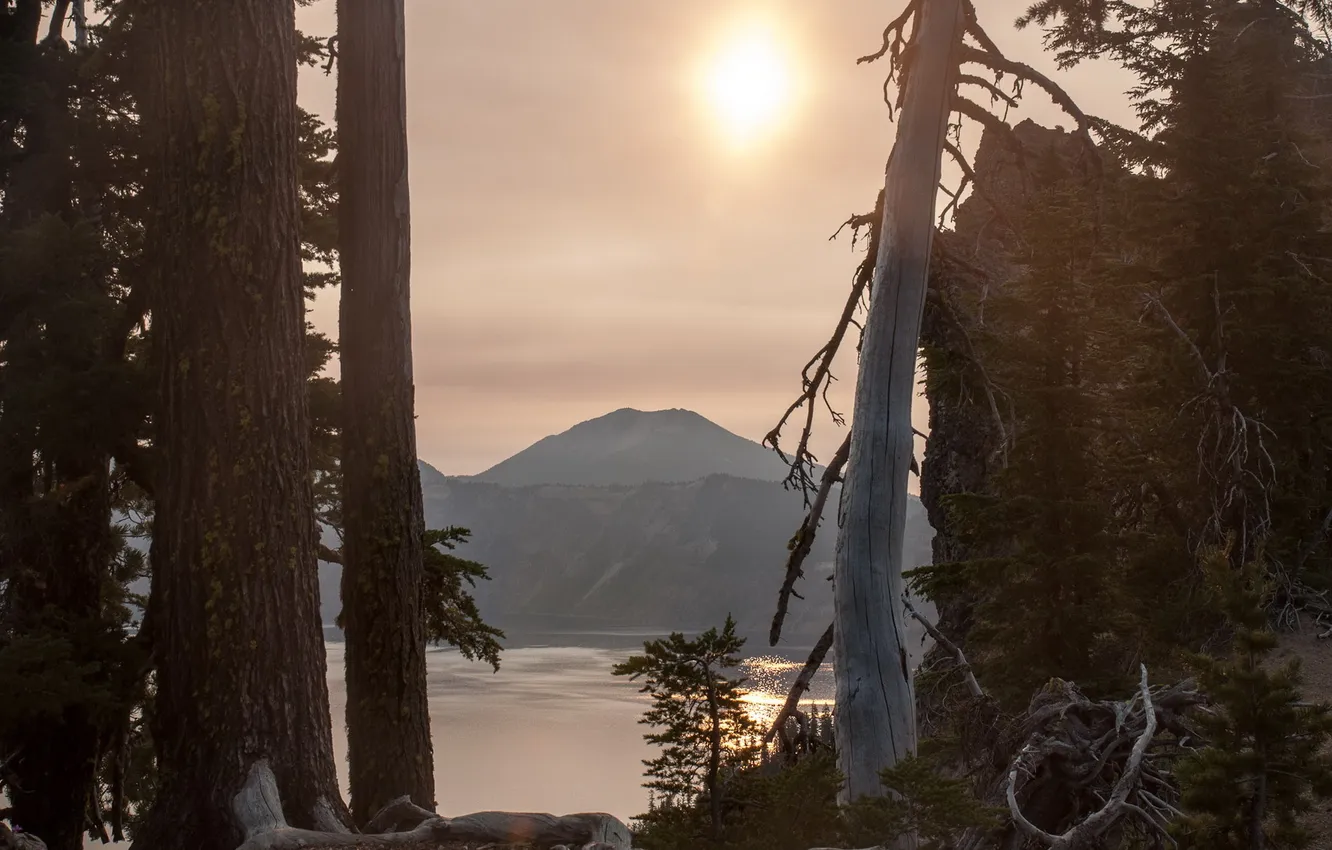 Photo wallpaper forest, mountains, nature, lake, morning