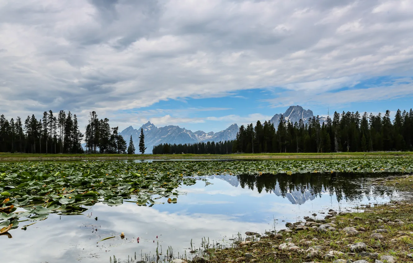 Photo wallpaper winter, the sky, leaves, clouds, trees, mountains, lake, swamp