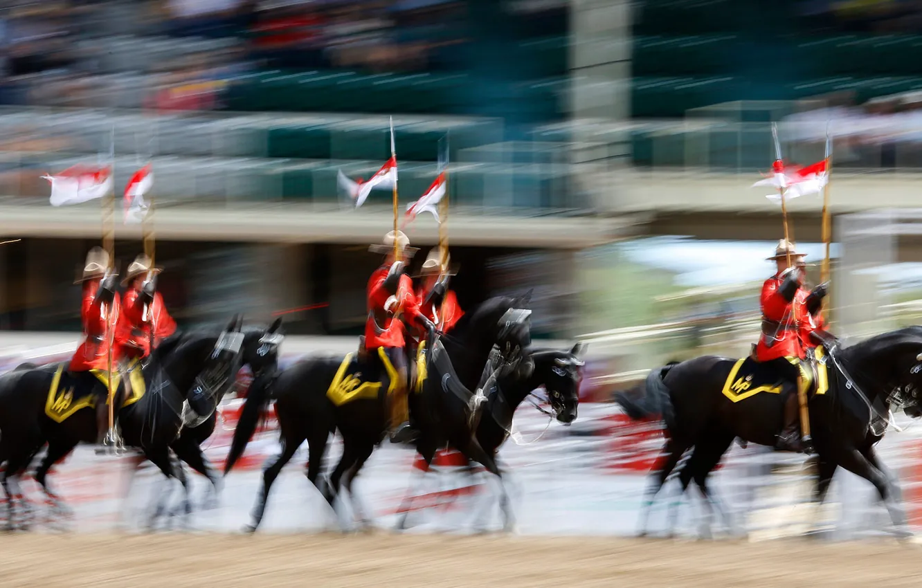 Photo wallpaper horse, rider, Rodeo, Royal canadian mounted police, Calgary Stampede