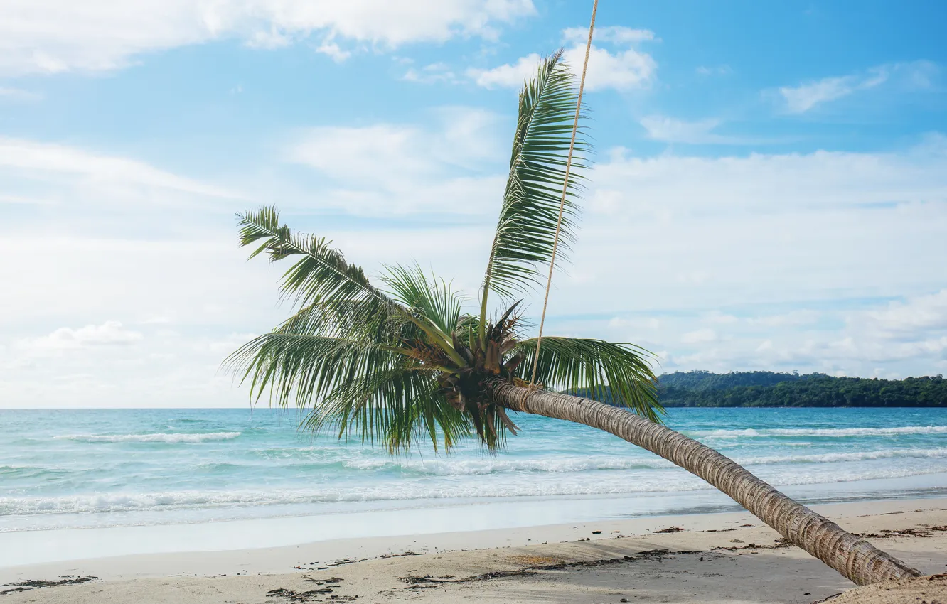 Photo wallpaper sand, sea, wave, beach, summer, the sky, palm trees, shore