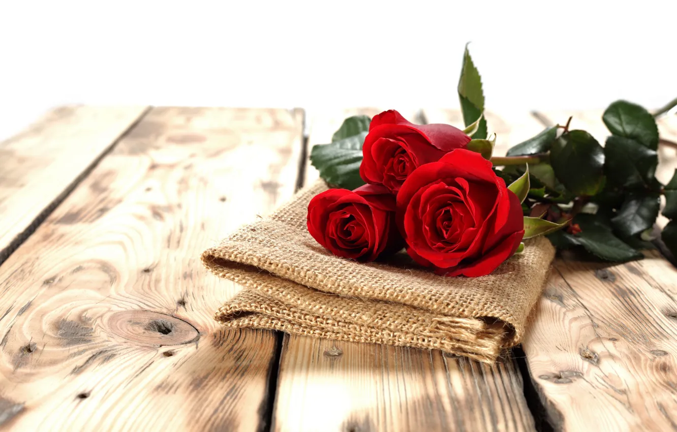Photo wallpaper Board, roses, buds, napkin