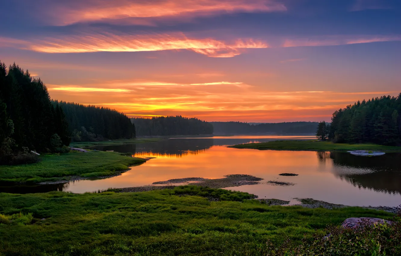 Photo wallpaper forest, trees, landscape, sunset, river