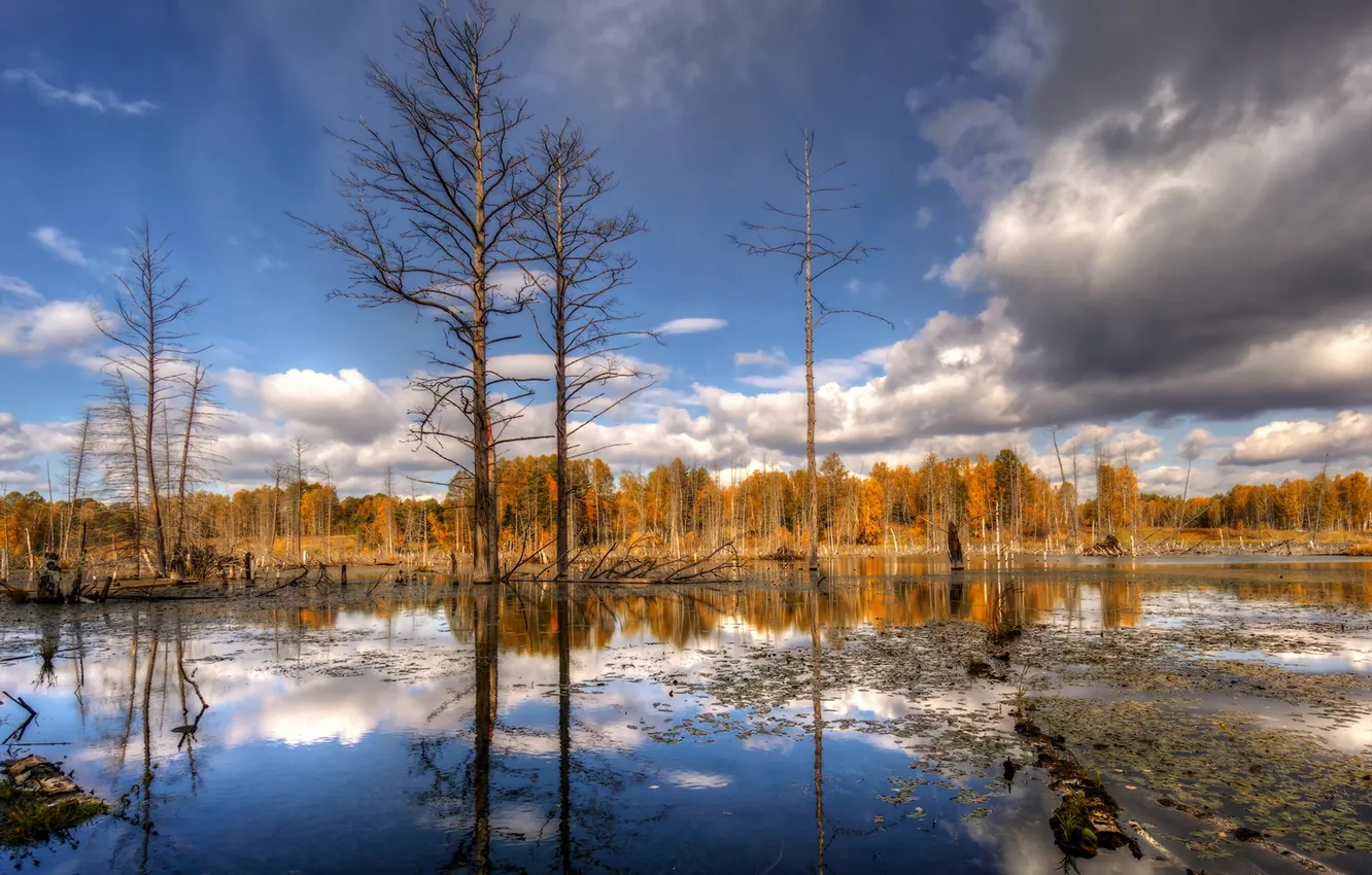 Photo wallpaper autumn, landscape, nature