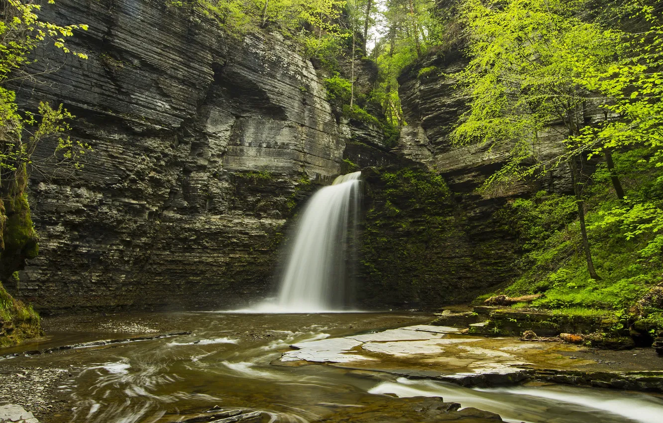 Photo wallpaper forest, water, trees, rock, stones, waterfall