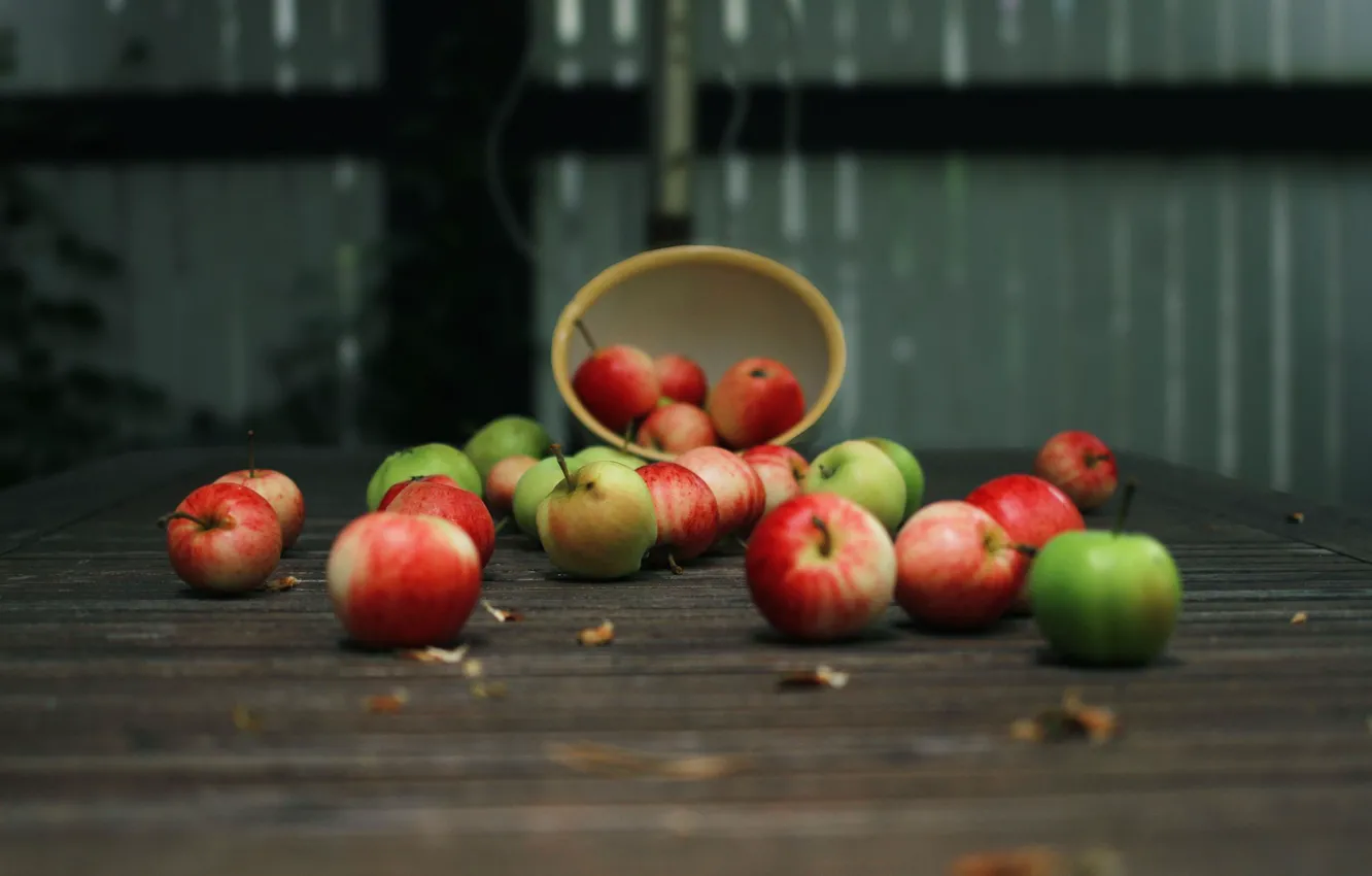 Photo wallpaper table, tree, apples, plate, fruit