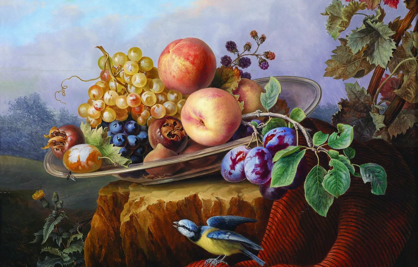 Photo wallpaper the sky, leaves, flowers, branches, nature, berries, bird, stump