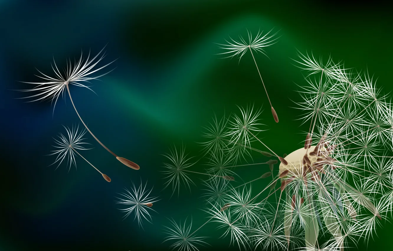 Photo wallpaper dandelion, that blew, who
