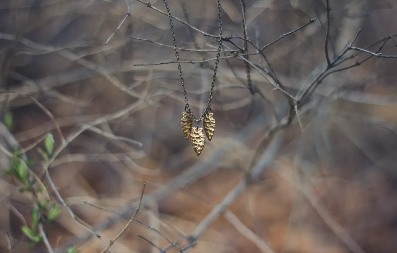 Photo wallpaper decoration, branches, suspension