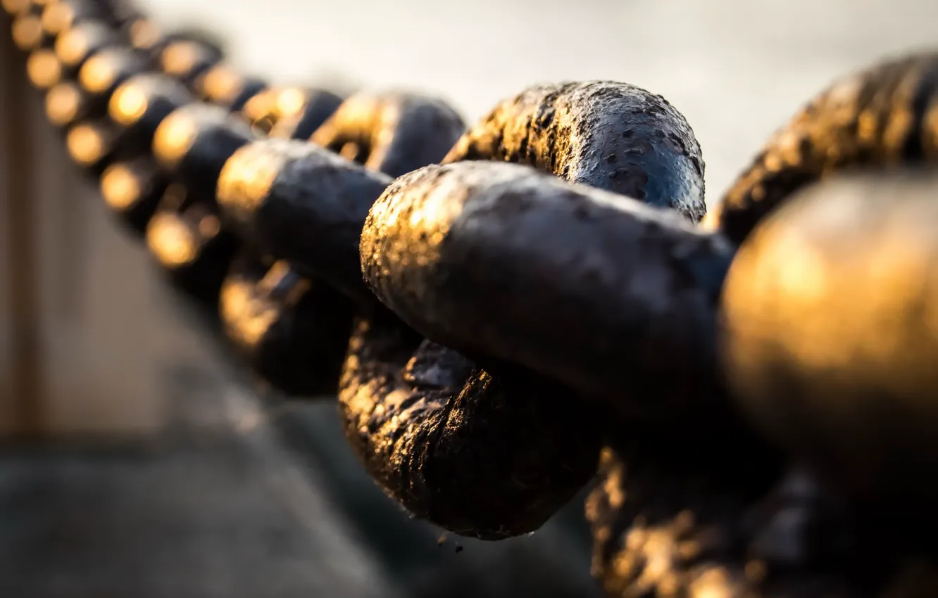 Photo wallpaper macro, background, tsep