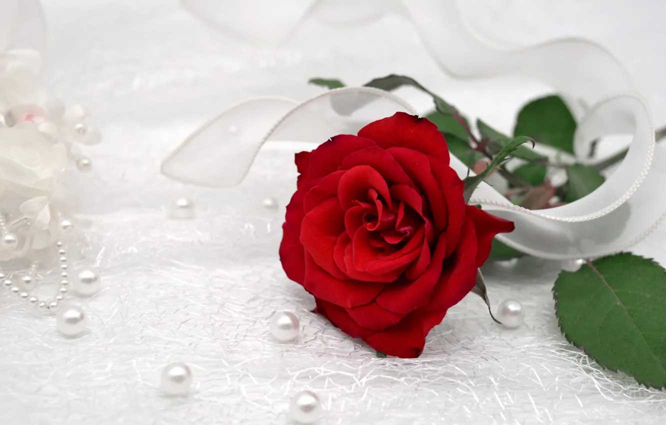 Photo wallpaper leaves, decoration, flowers, red, holiday, gift, roses, tape