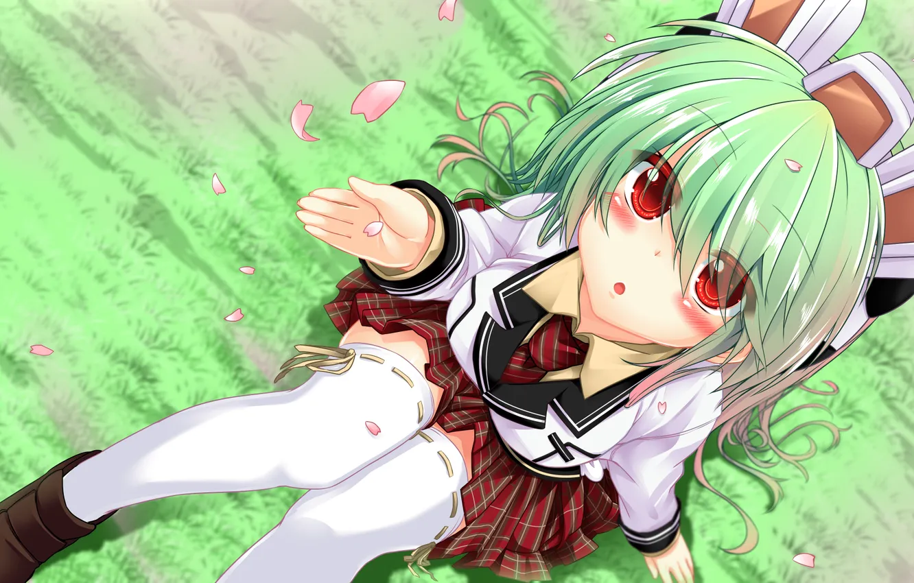 Photo wallpaper petals, girl, schoolgirl, sitting, art, embarrassment, dodome-iro mayonnaise