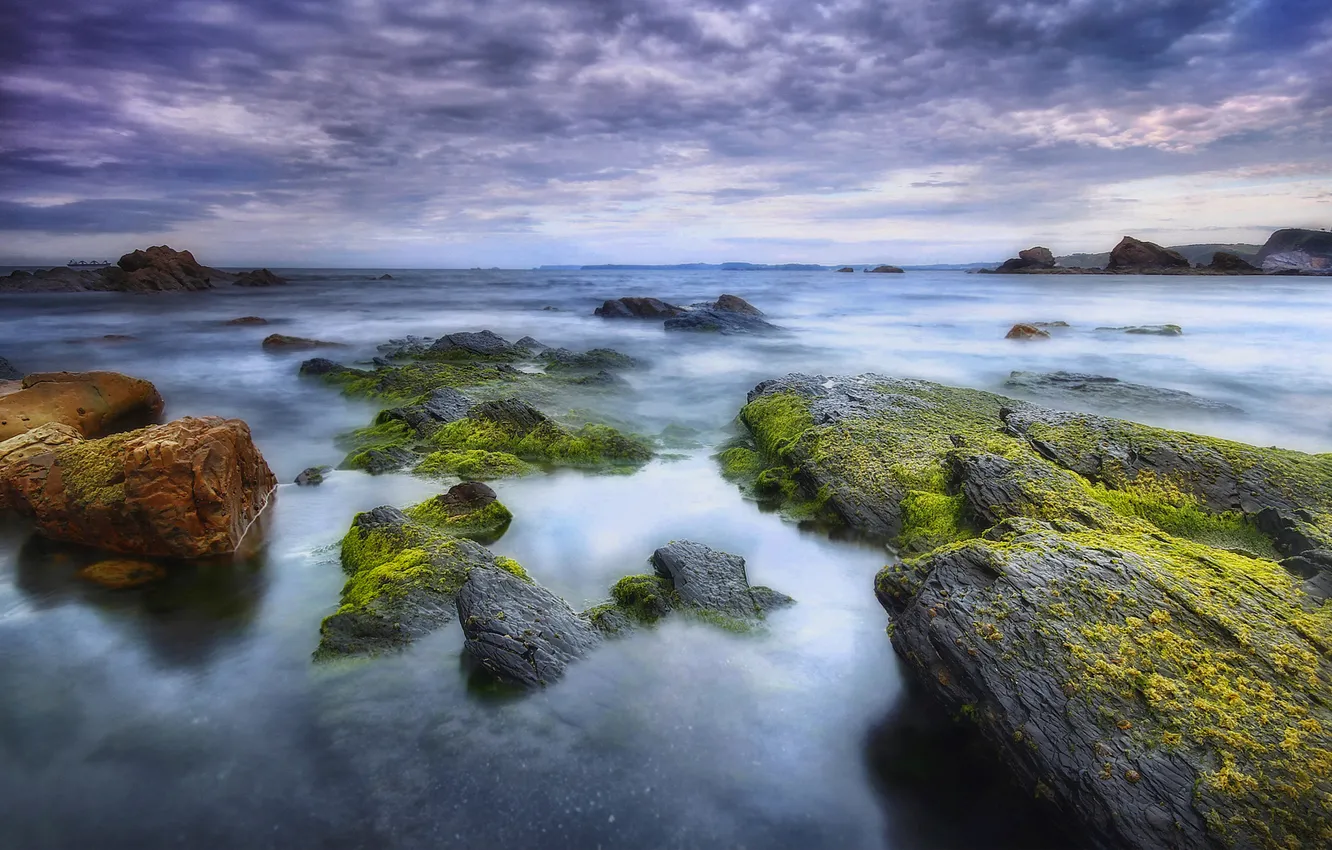 Photo wallpaper sea, clouds, stones, moss