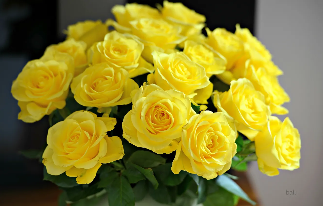 Photo wallpaper yellow, roses, bouquet