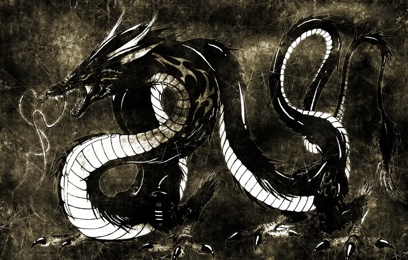 Photo wallpaper black background, 2012, dragon, the year of the dragon, coming, Chinese water dragon