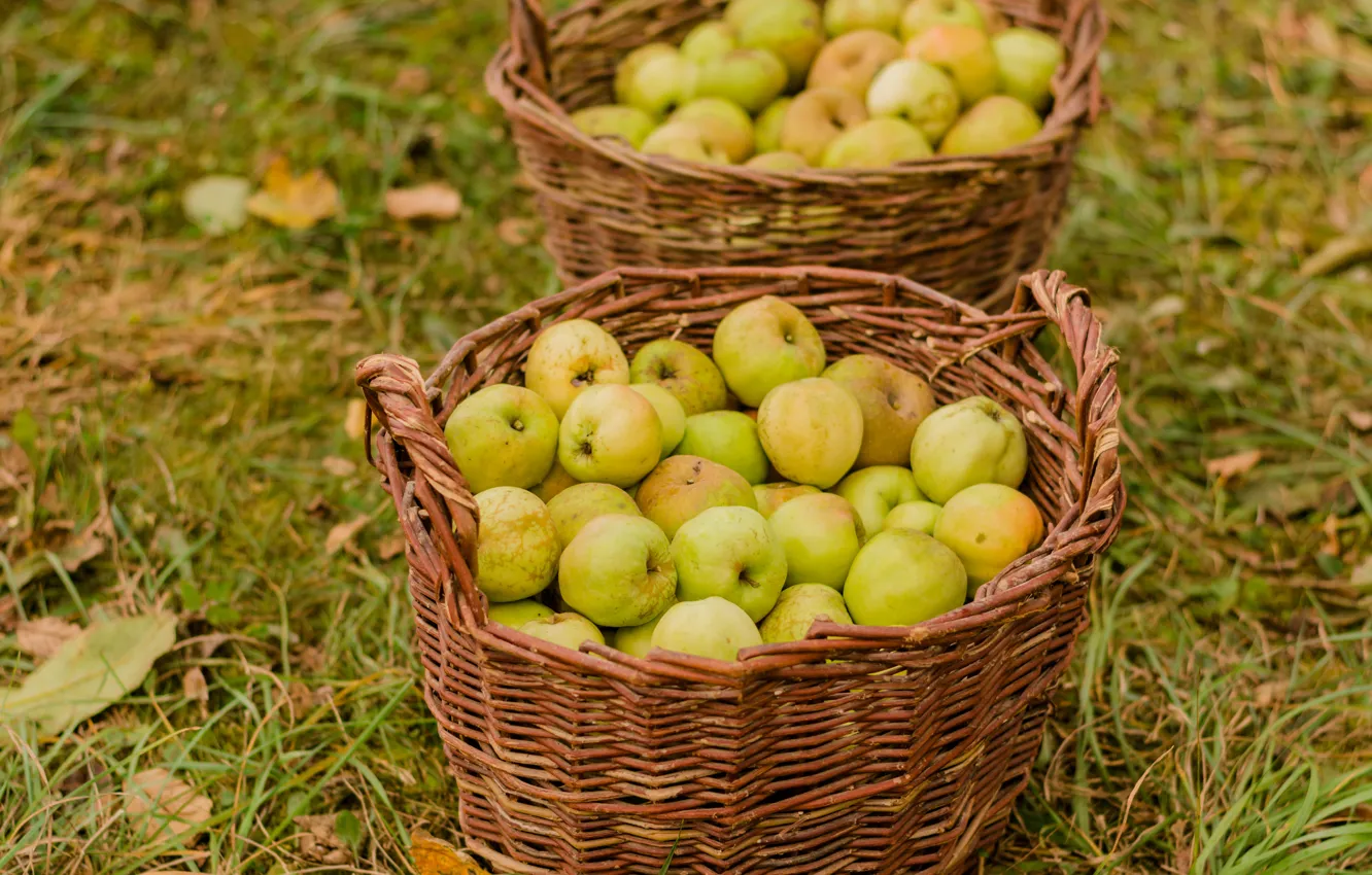 Photo wallpaper apples, harvest, collection, basket