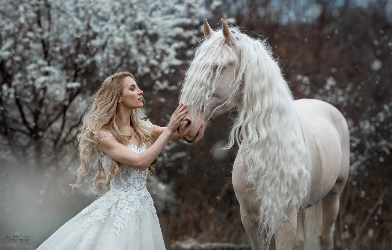 Photo wallpaper girl, horse, horse, dress, blonde, long hair, Marketa Novak, Marie Renčová Kružíková
