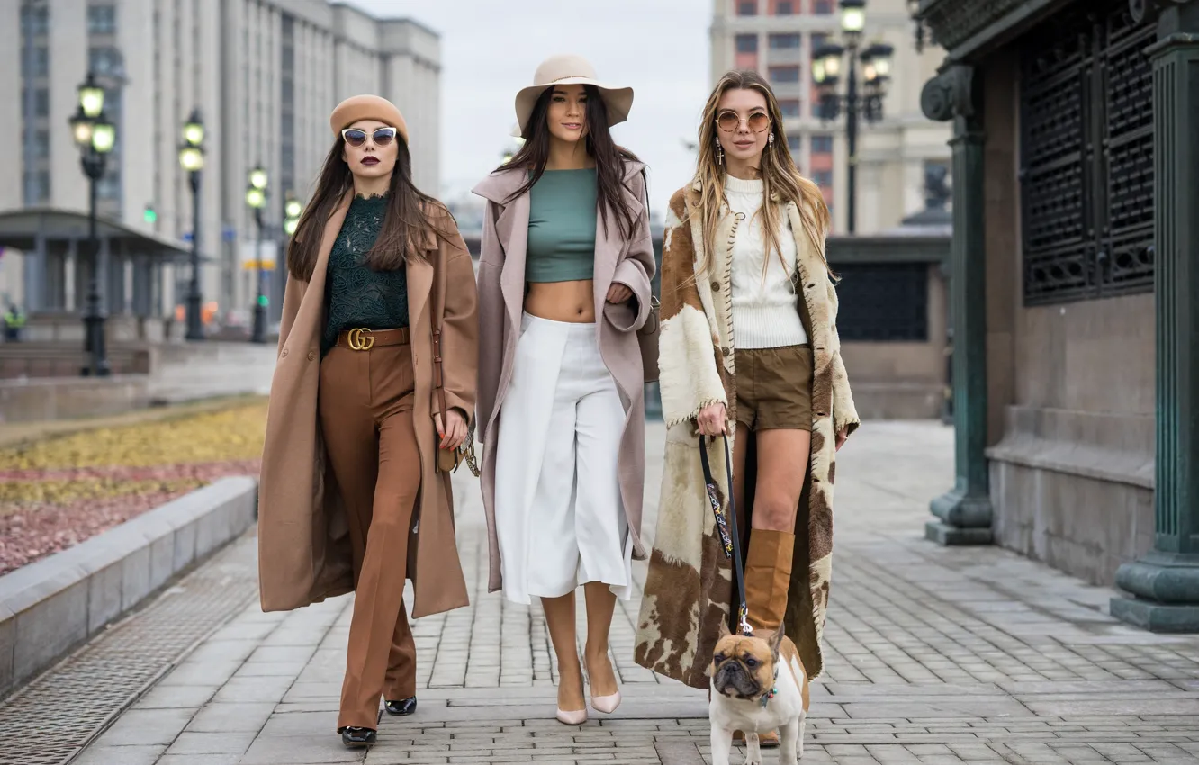 Photo wallpaper style, model, three, dog