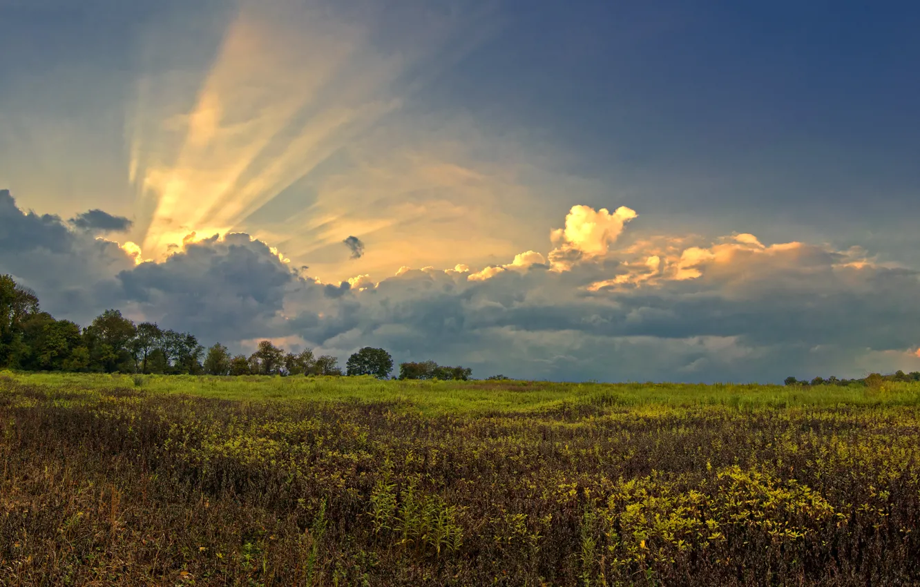 Photo wallpaper field, the sky, grass, clouds, green, Nature, grass, sky