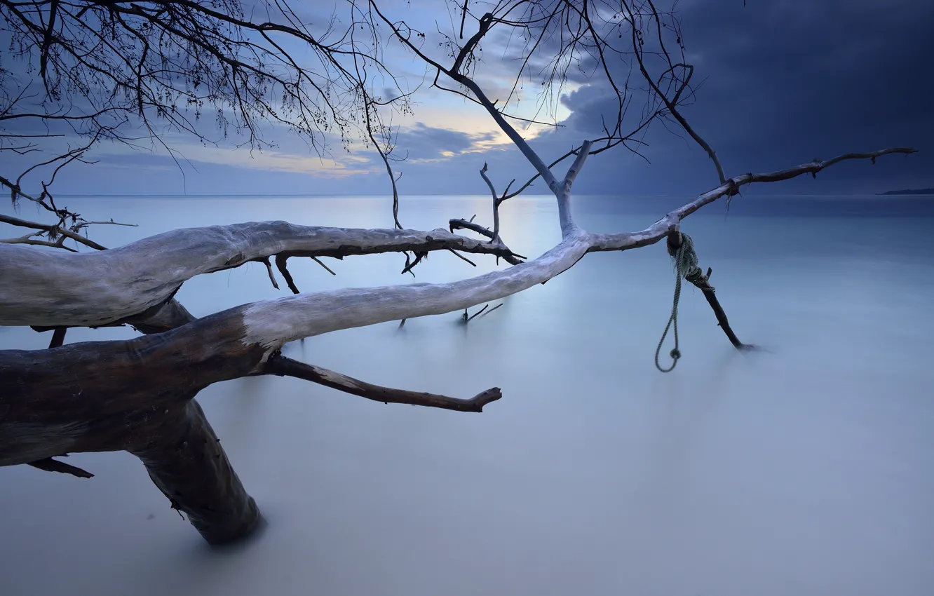 Photo wallpaper beach, trees, clouds, the ocean, Praslin, The Seychelles archipelago