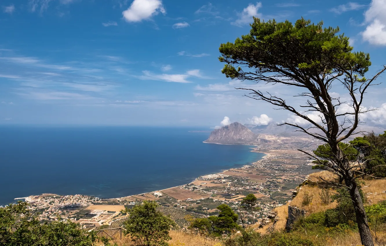 Photo wallpaper sea, beach, the sky, clouds, trees, branches, the city, blue