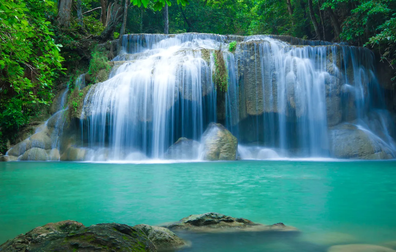 Photo wallpaper greens, forest, nature, lake, stones, rocks, shore, foliage