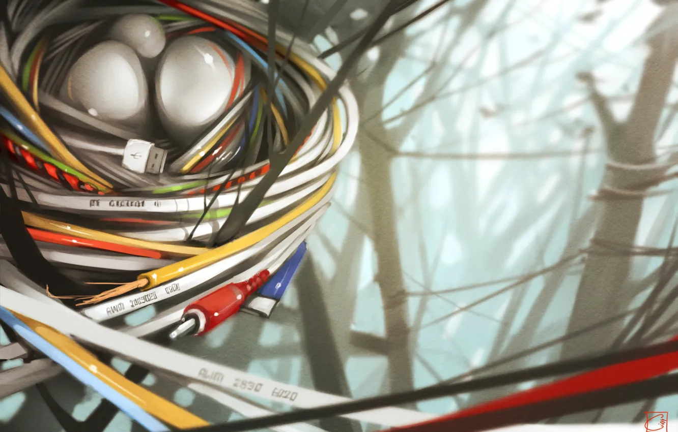 Photo wallpaper wire, art, masonry, socket, cable, Alexandra GaudiBuendia Khitrova, New nature