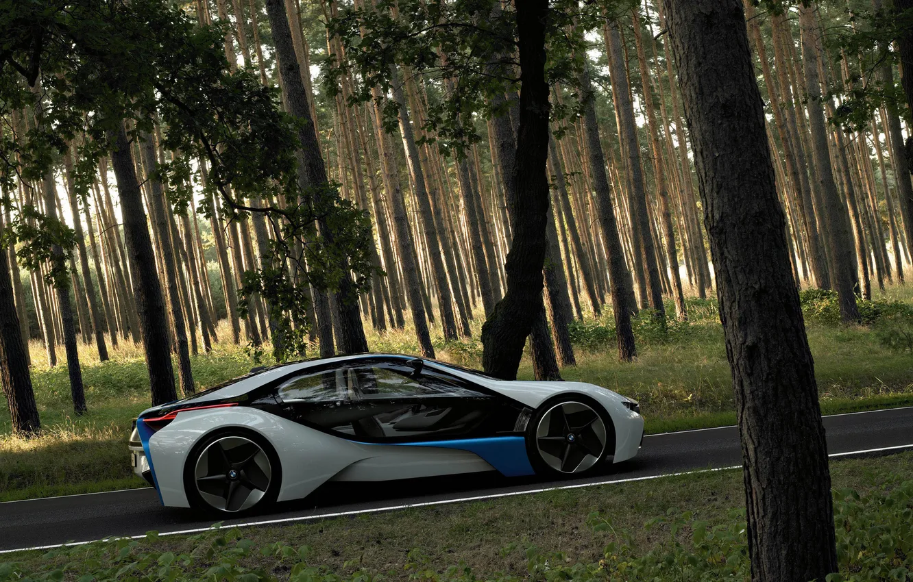 Photo wallpaper road, forest, Wallpaper, bmw, pine, prototype, vision, dynamics