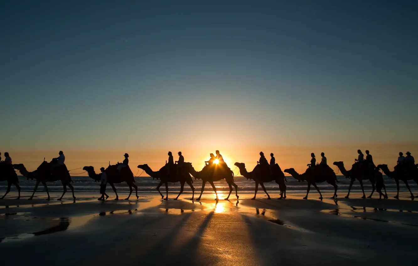 Photo wallpaper sunset, Wallpaper, shore, coast, wallpapers, camels, caravan