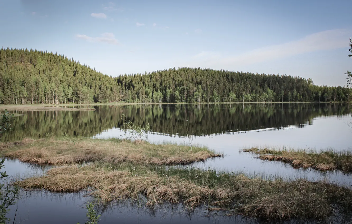 Photo wallpaper forest, reflection, shore, pond, Dalarnas