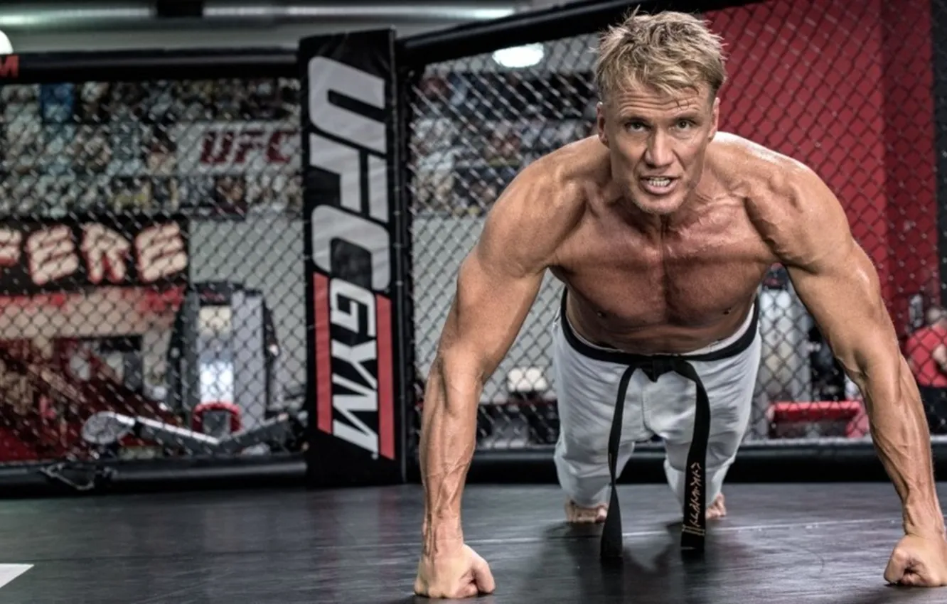 Photo wallpaper pose, actor, fighter, training, athlete, UFC, Dolph Lundgren, Dolph Lundgren