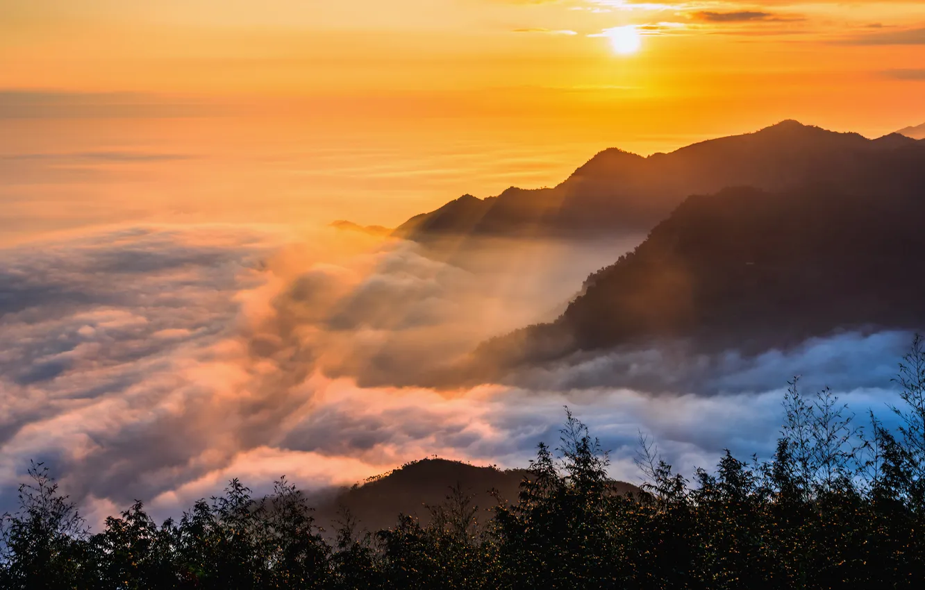 Photo wallpaper the sun, mountains, fog, dawn