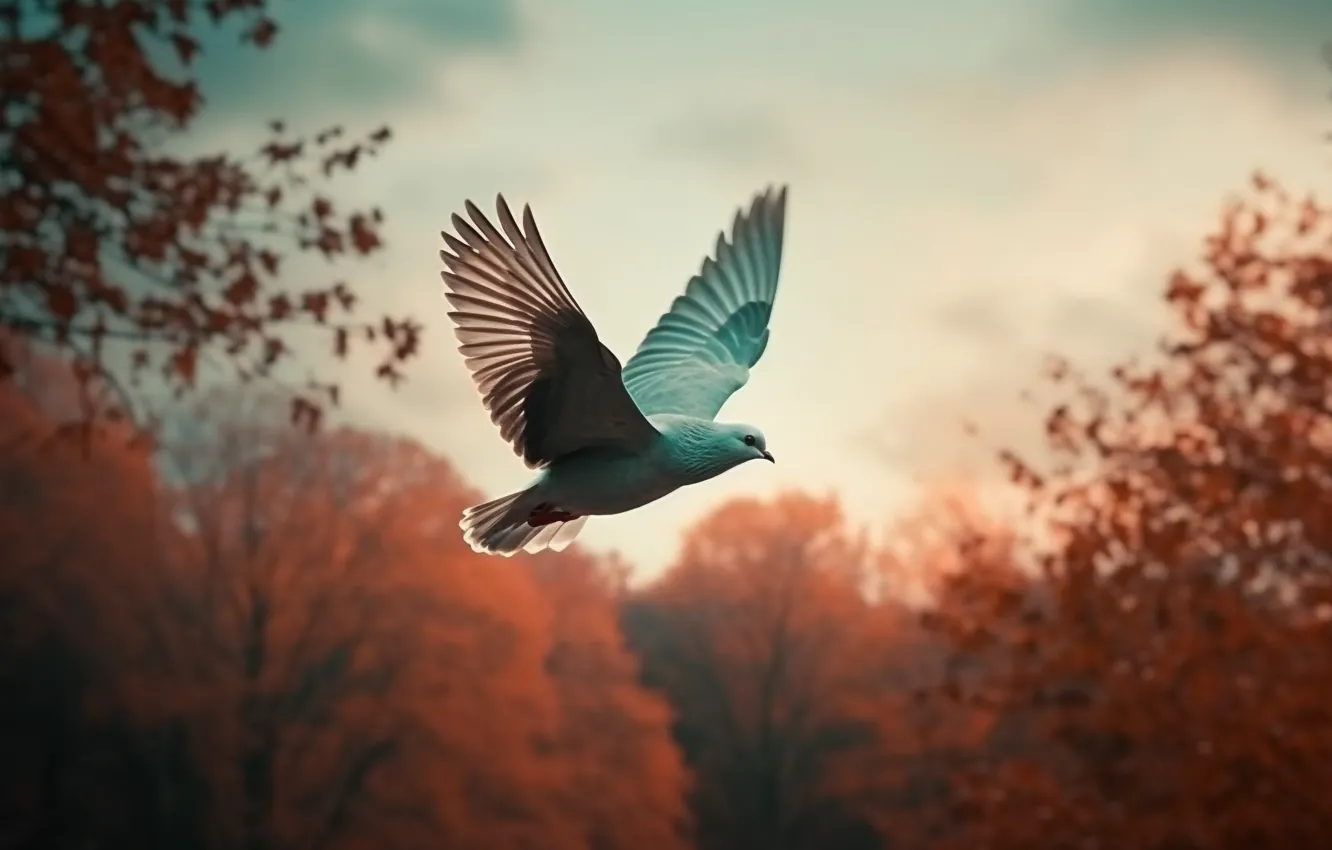 Photo wallpaper autumn, forest, the sky, clouds, trees, flight, branches, nature
