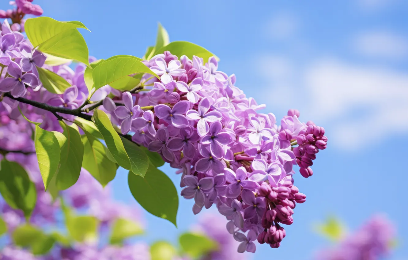 Photo wallpaper flowers, nature, spring, lilac, inflorescence, AI art, neural network