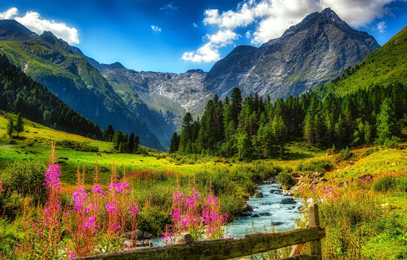 Photo wallpaper greens, forest, the sky, clouds, flowers, mountains, blue, stream