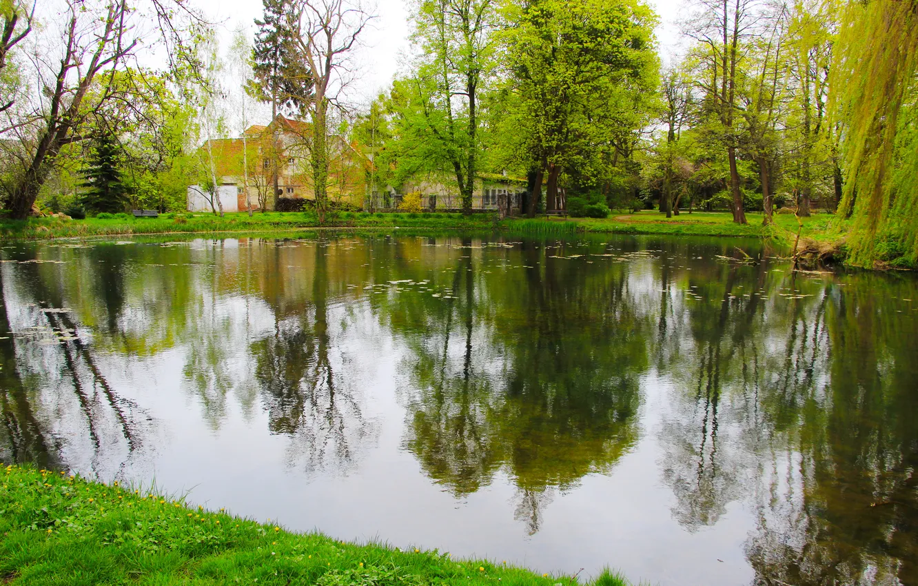 Photo wallpaper water, park, lake, spring, pond