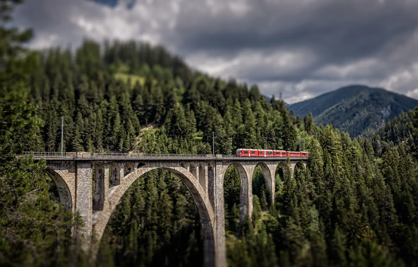 Photo wallpaper forest, landscape, mountains, bridge, nature, train, Switzerland