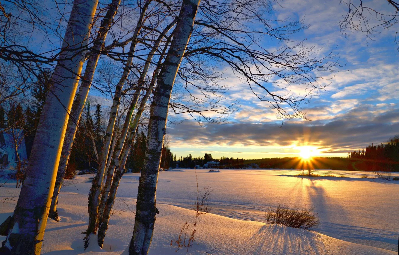 Photo wallpaper winter, the sky, the sun, clouds, snow, trees, sunset, Alain Audet