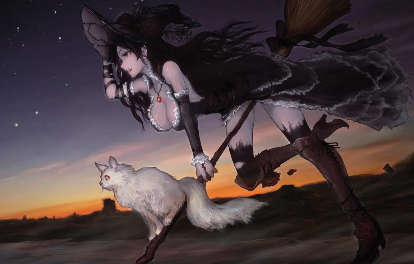 Photo wallpaper the sky, cat, girl, stars, clouds, flight, night, hat