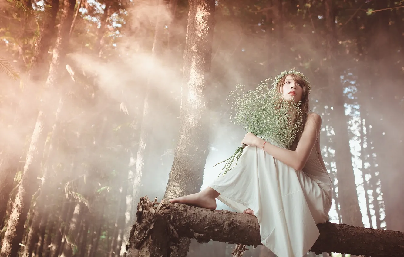 Photo wallpaper forest, girl, Asian
